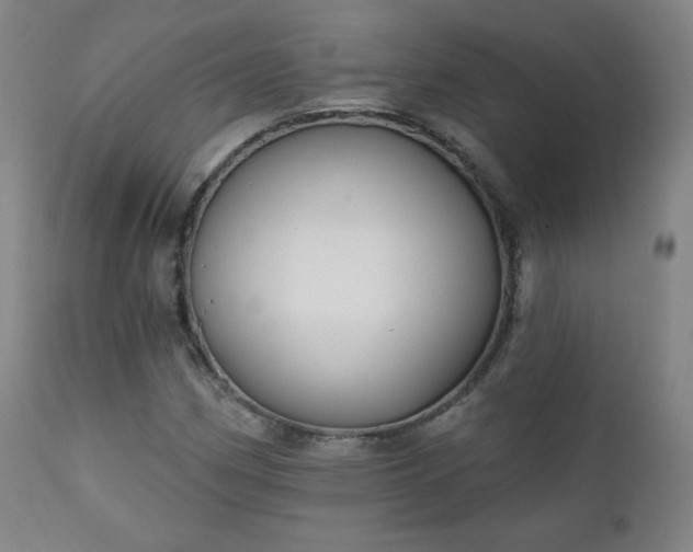 X0000111221162200907091304