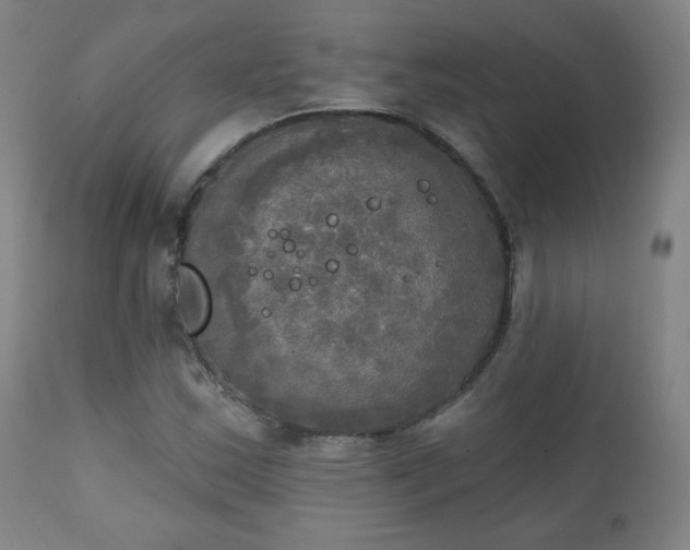 X0000111221163200907091304