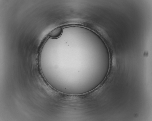 X0000111221164200907091304