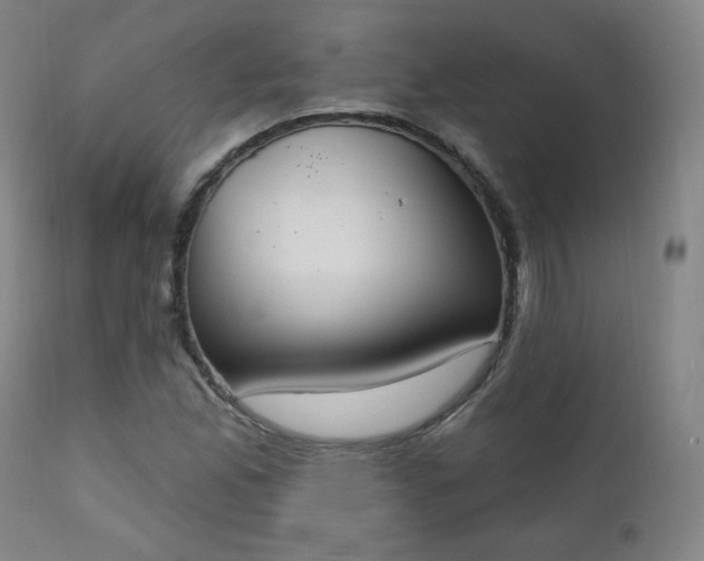 X0000111221165200907091304