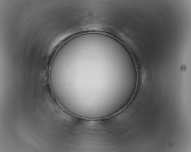 X0000111221166200907091304