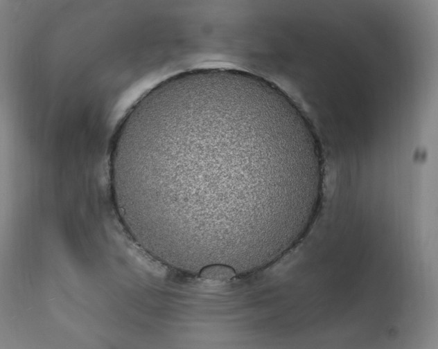 X0000111221167200907091304