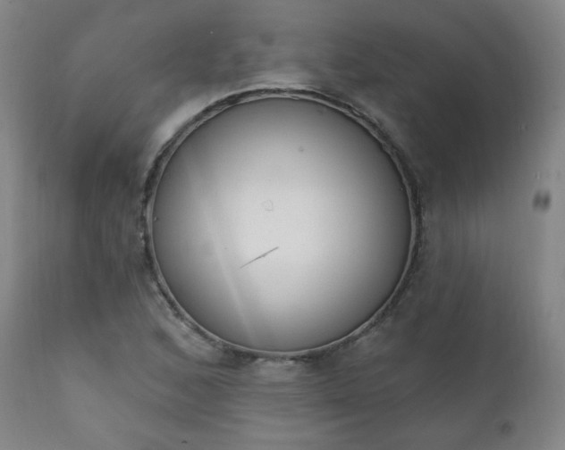 X0000111221168200907091304