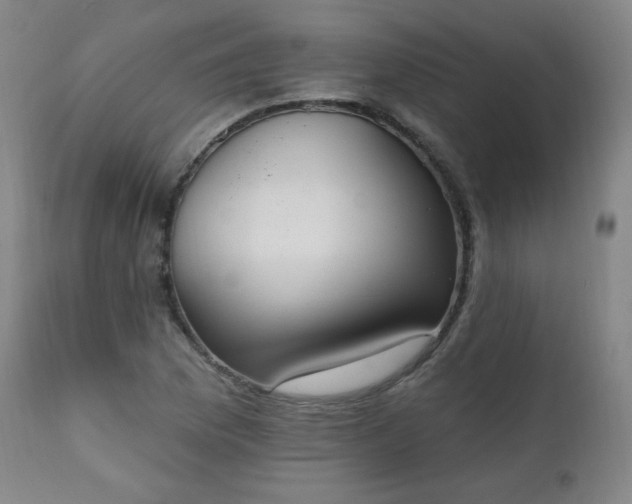 X0000111221169200907091304
