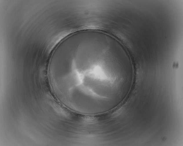 X0000111221170200907091304