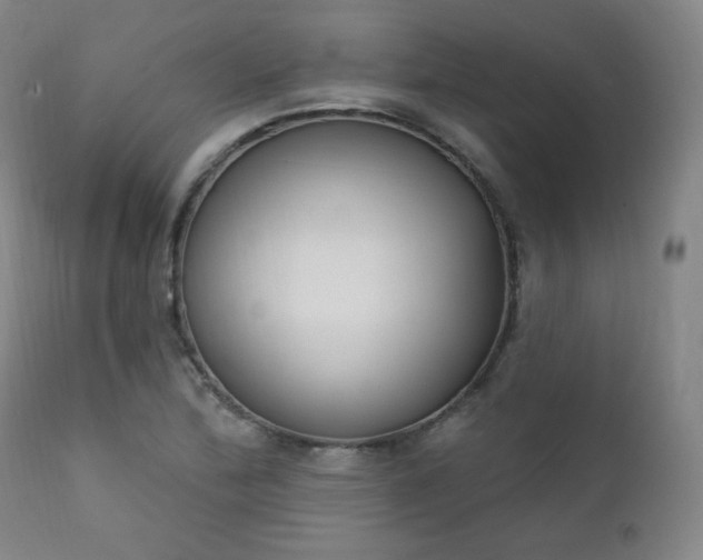 X0000111221172200907091304