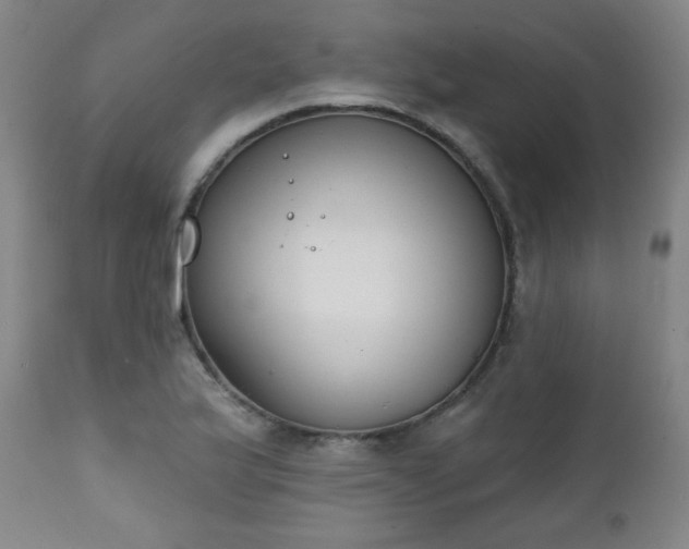 X0000111221175200907091304