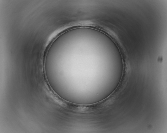 X0000111221176200907091304