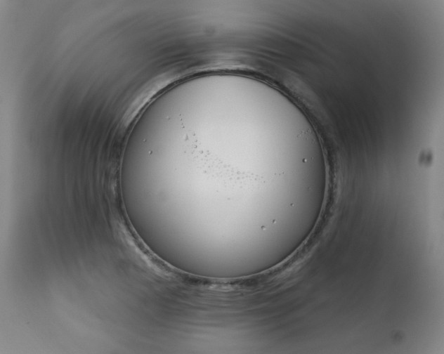 X0000111221177200907091304