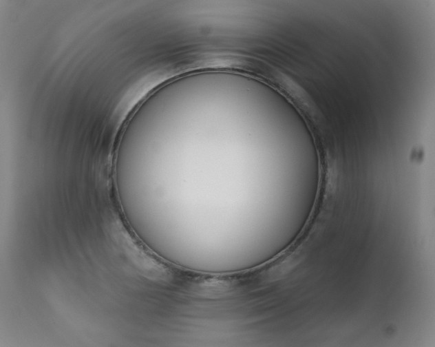 X0000111221178200907091304