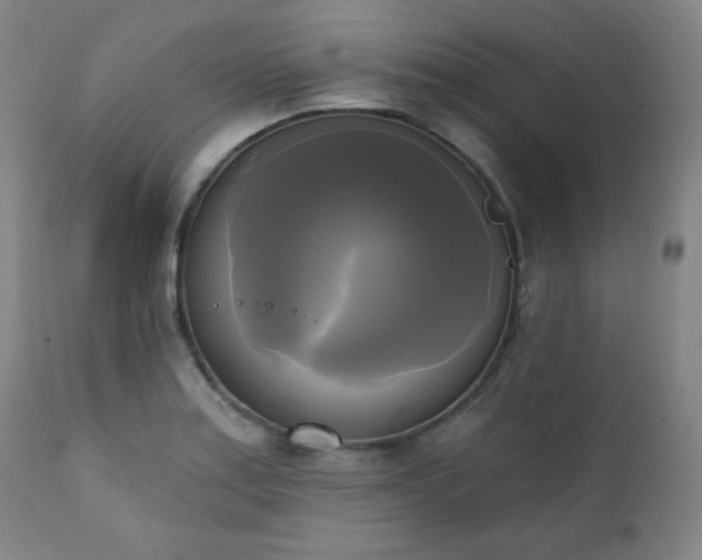 X0000111221179200907091304