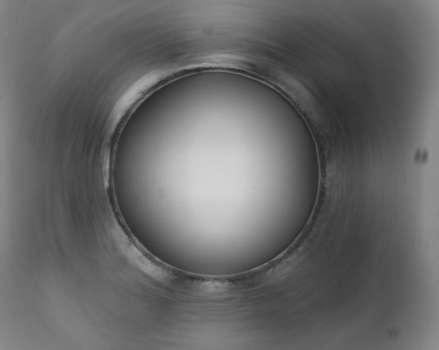 X0000111221180200907091304