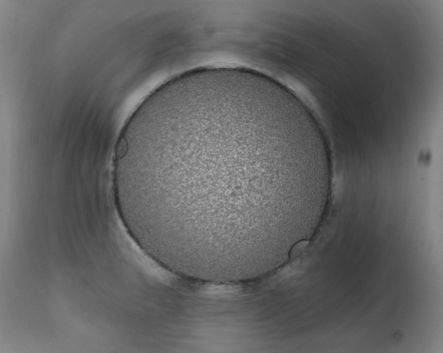 X0000111221183200907091304