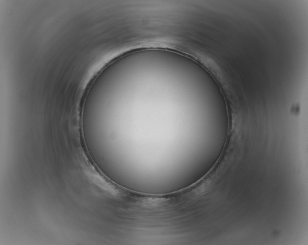 X0000111221184200907091304