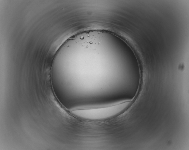 X0000111221185200907091304