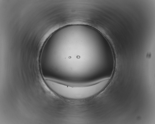 X0000111221189200907091304