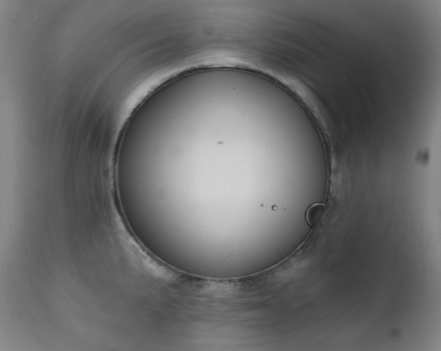 X0000111221191200907091304