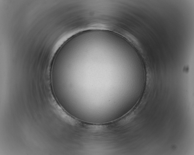 X0000111221192200907091304