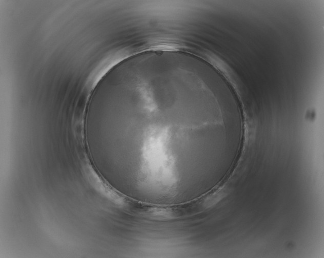 X0000111221194200907091304