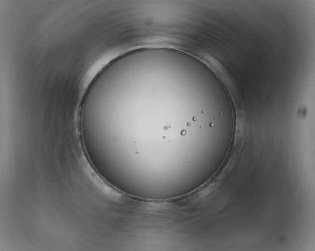 X0000111221196200907091304