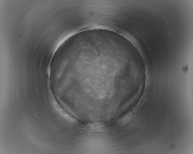 X0000111221198200907091304