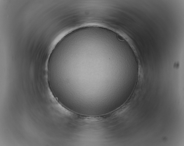 X0000111221199200907091304
