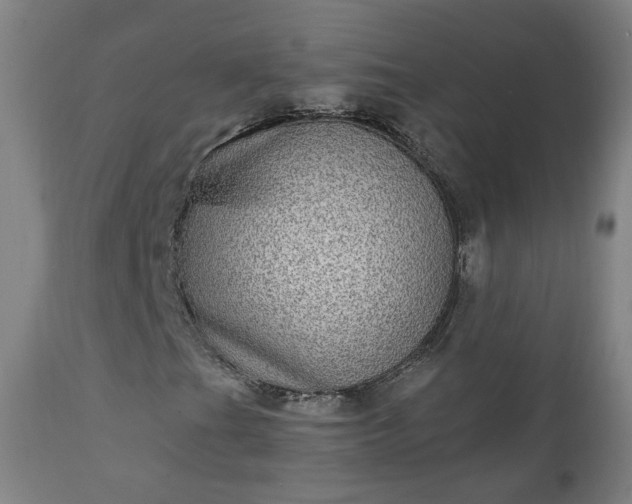 X0000111221201200907091303