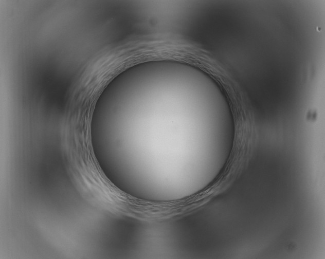 X0000111221202200907091303