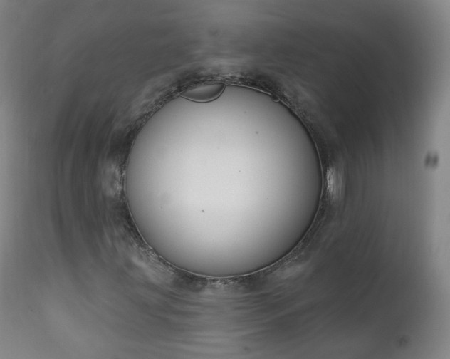 X0000111221203200907091303