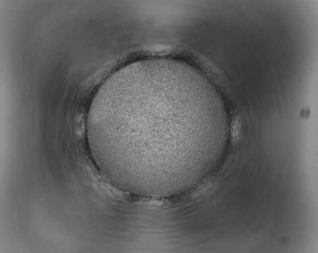 X0000111221204200907091303