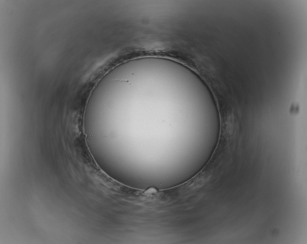 X0000111221205200907091303