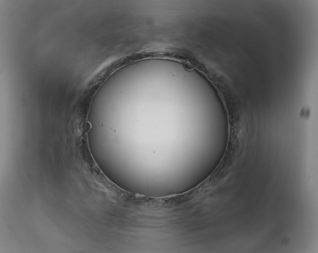 X0000111221206200907091303