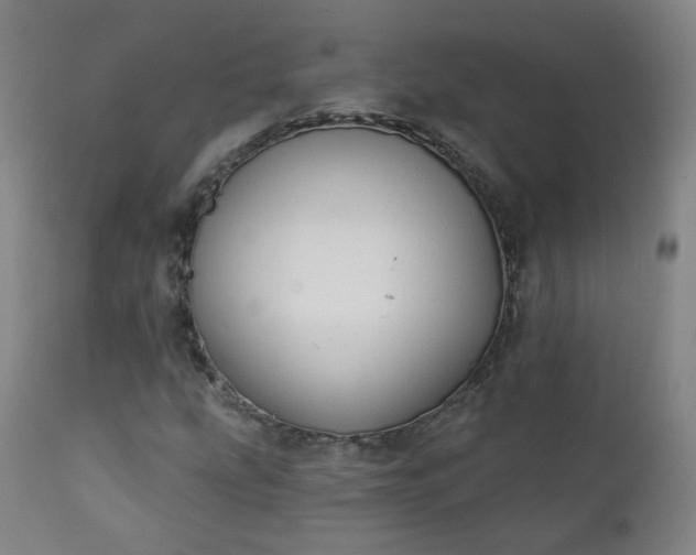 X0000111221207200907091303