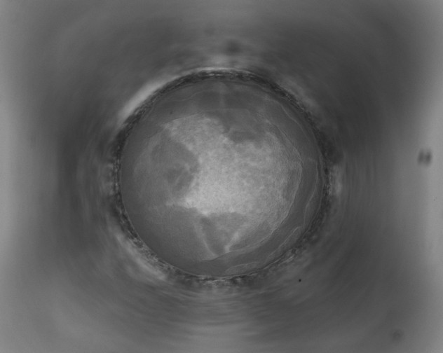 X0000111221208200907091303