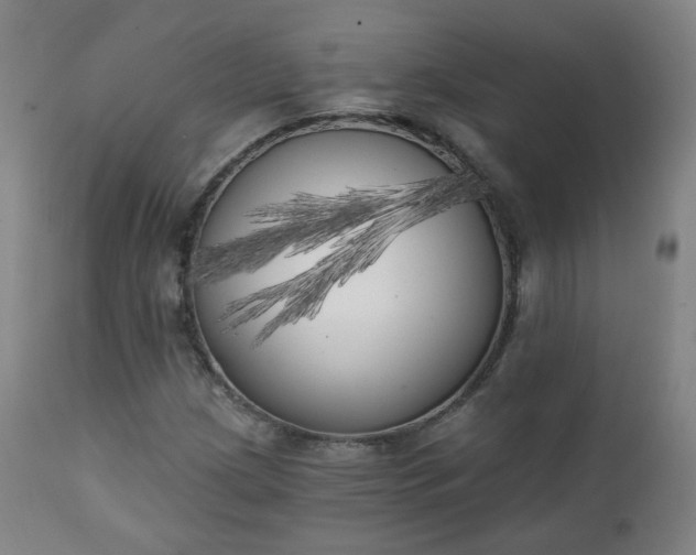 X0000111221209200907091303