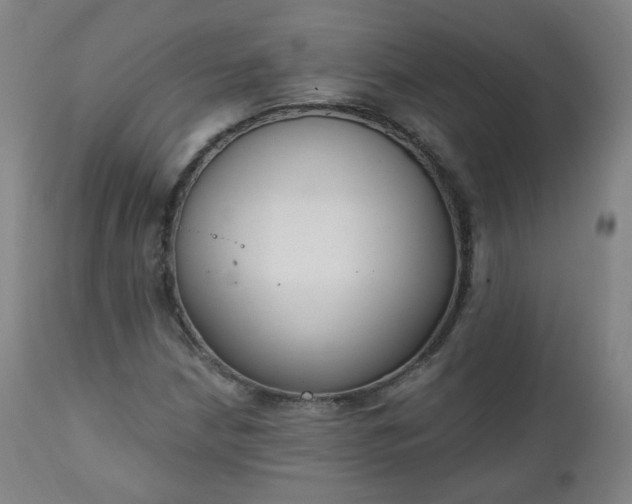 X0000111221210200907091303