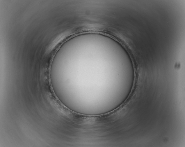 X0000111221211200907091303