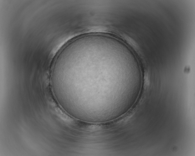 X0000111221212200907091303
