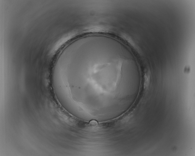 X0000111221213200907091303