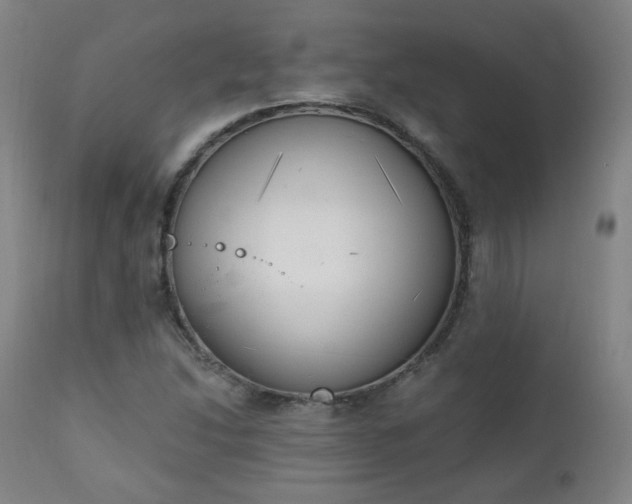 X0000111221214200907091303