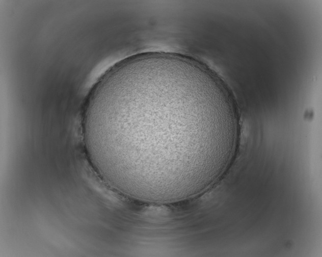 X0000111221215200907091303