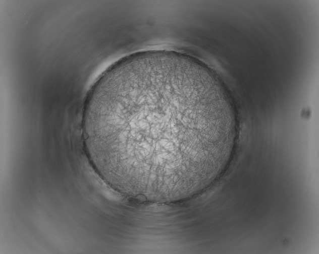 X0000111221216200907091303