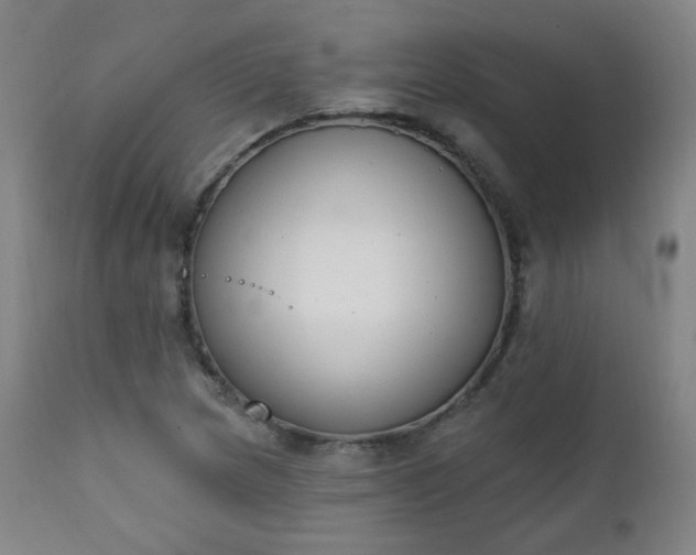 X0000111221217200907091303
