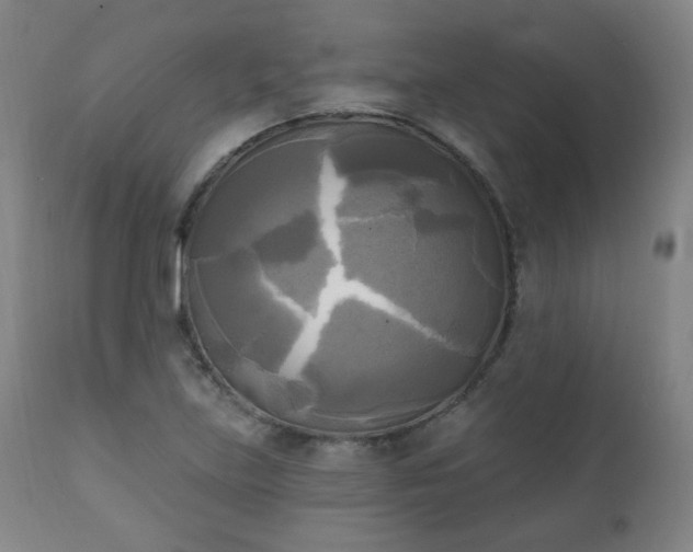 X0000111221219200907091303