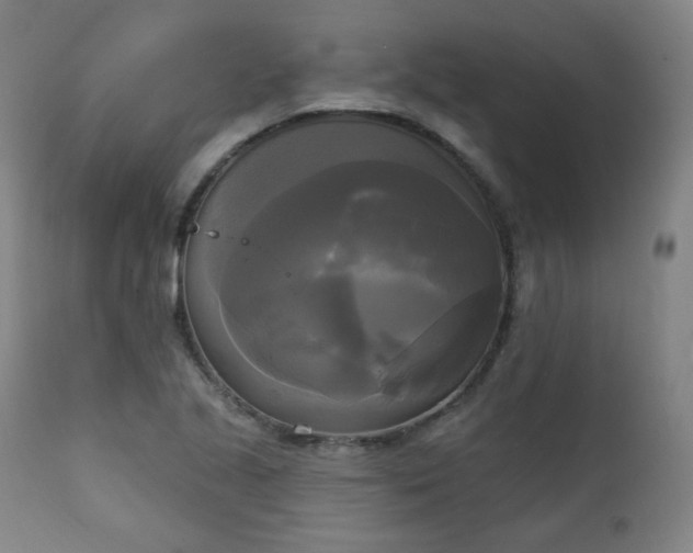 X0000111221221200907091303