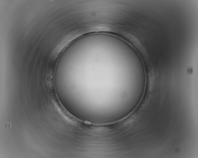 X0000111221225200907091304