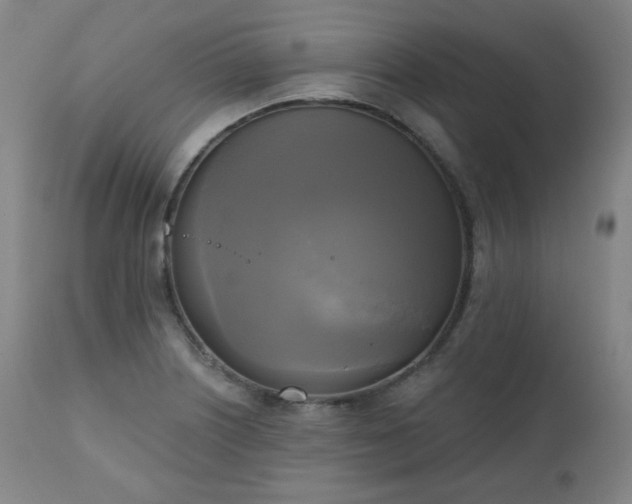 X0000111221226200907091304