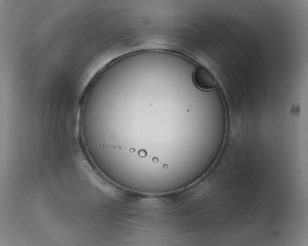 X0000111221227200907091304