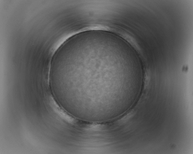 X0000111221228200907091304