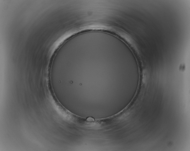 X0000111221229200907091304